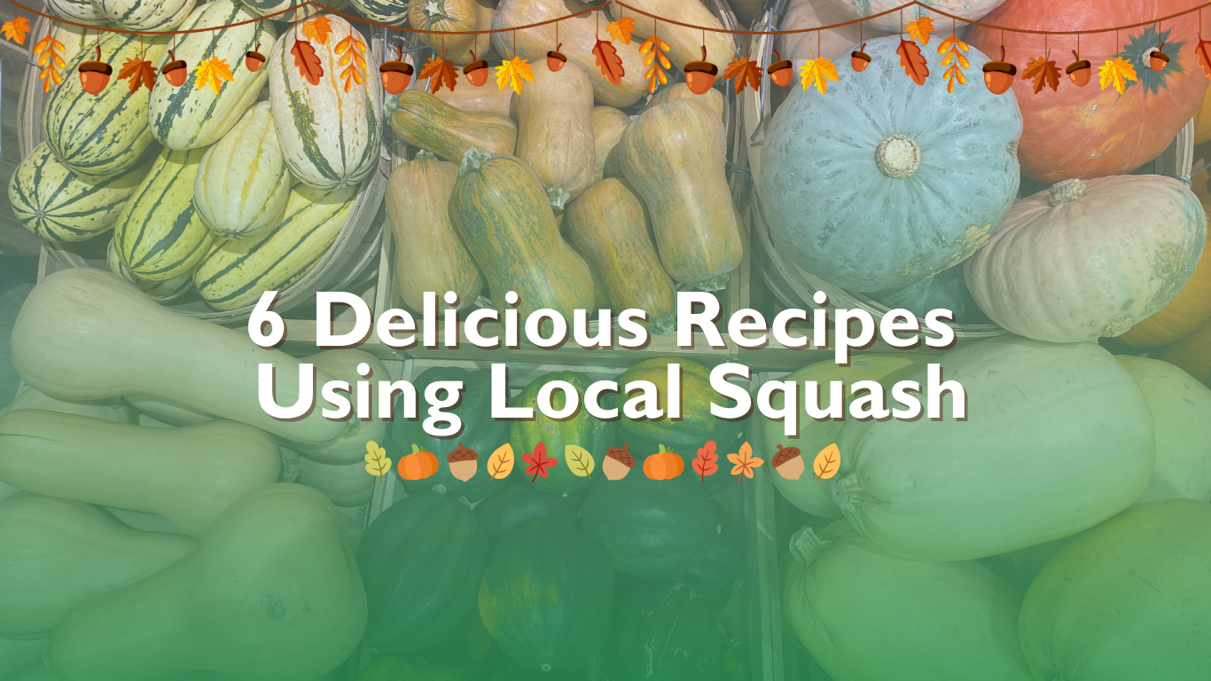 6 Delicious Recipes Using Local Squash