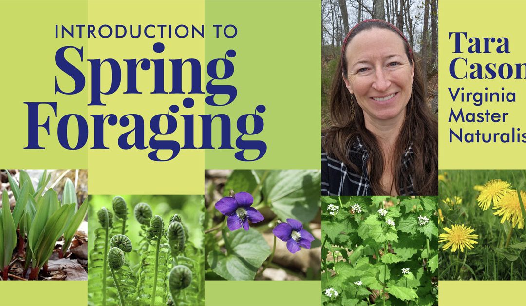 Spring Foraging